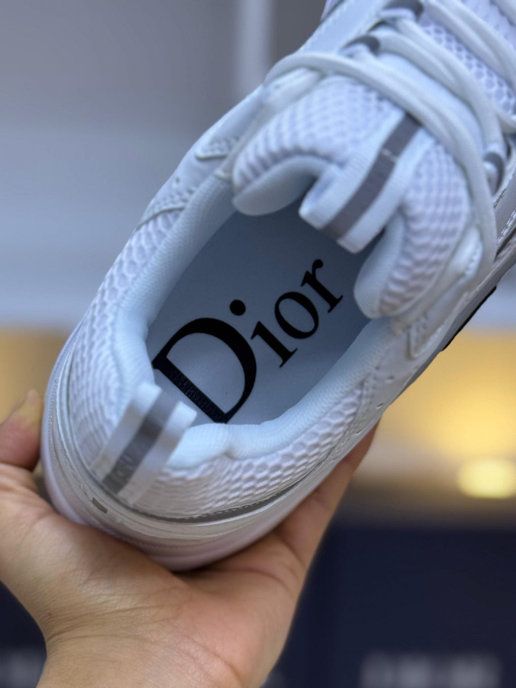 Dior B22 Reflectante
