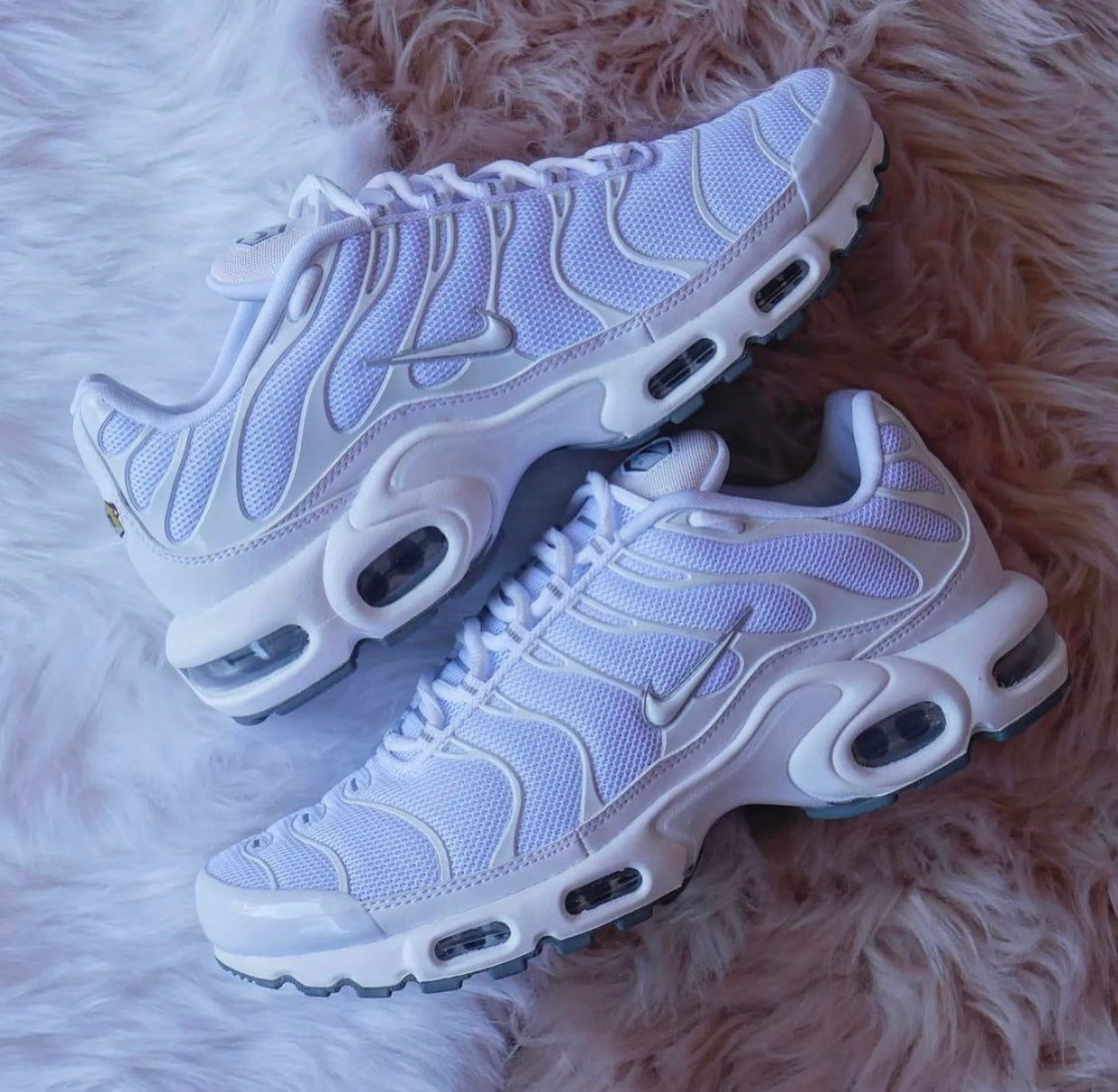 TN BLANCO